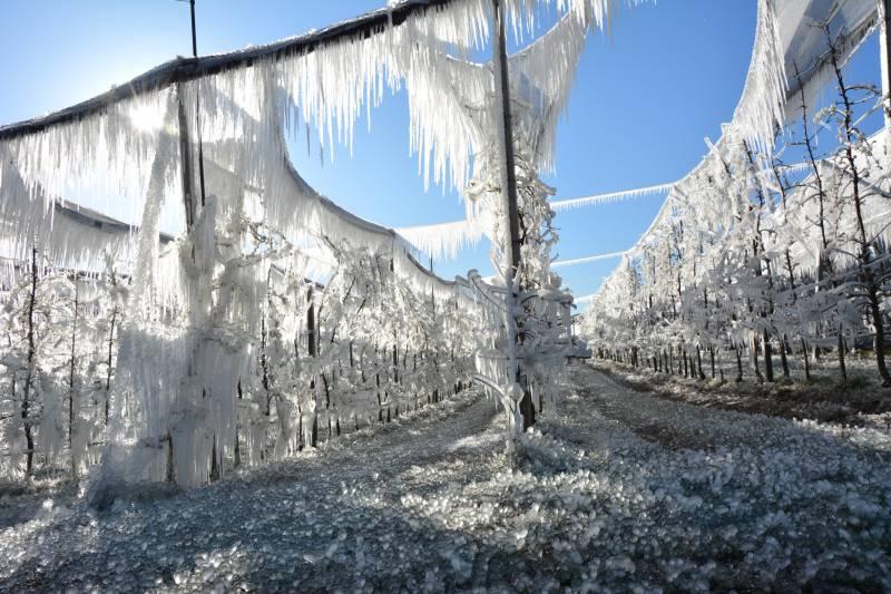 Frostbewässerung im Obstbau