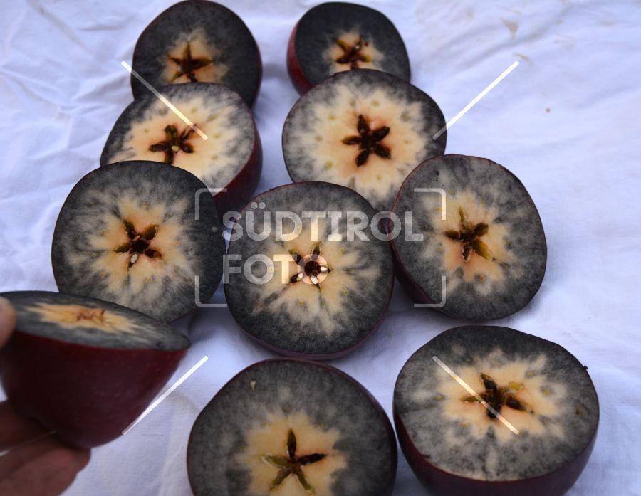 Reifetest bei Äpfeln