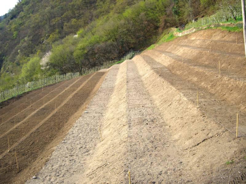 Terrassierung im Obstbau