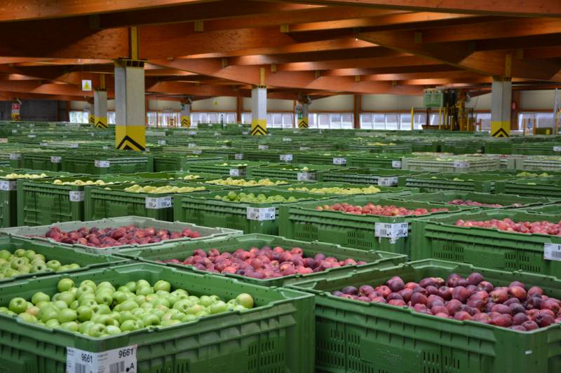 Obstversteigerung Egma Vilpian