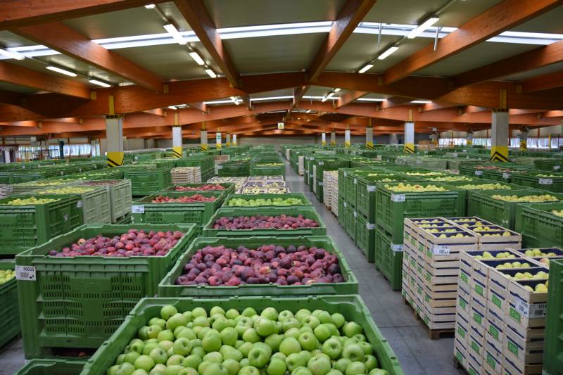 Obstversteigerung Egma Vilpian